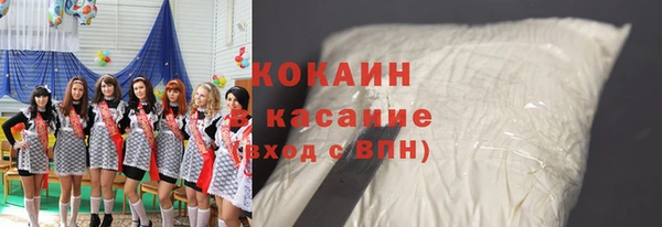 ешки Алексин