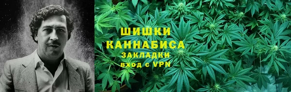 ECSTASY Алзамай