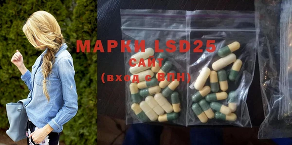 ECSTASY Алзамай