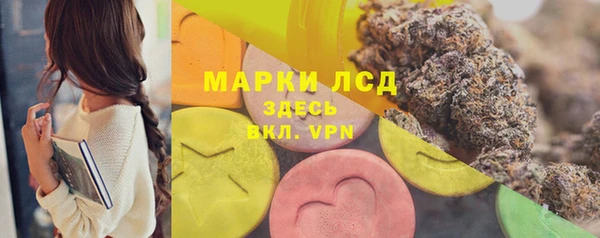 ешки Алексин