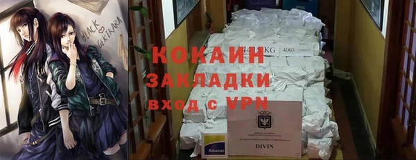 ECSTASY Алзамай