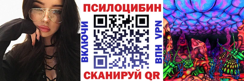 Галлюциногенные грибы Cubensis  Тейково 