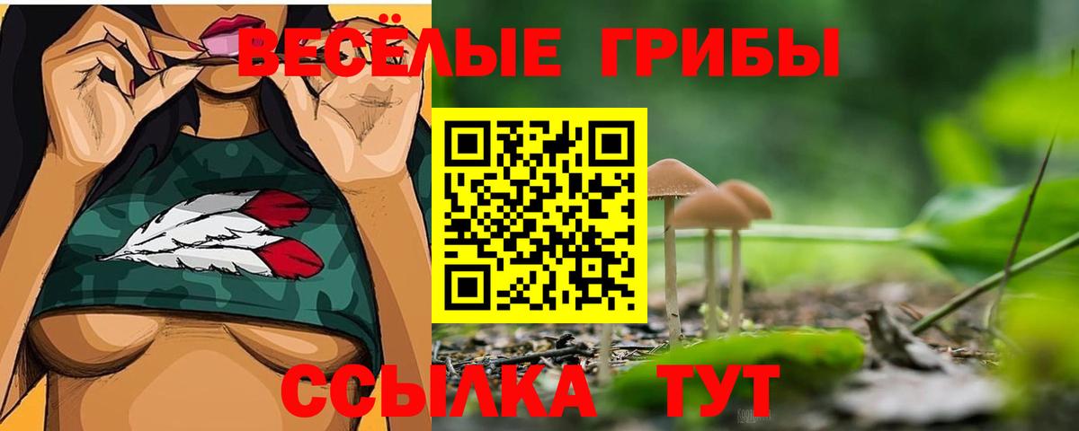 купить наркотик  Псилоцибиновые грибы Psilocybe  Тейково  Вход с VPN  Псилоцибиновые грибы Psilocybine cubensis 